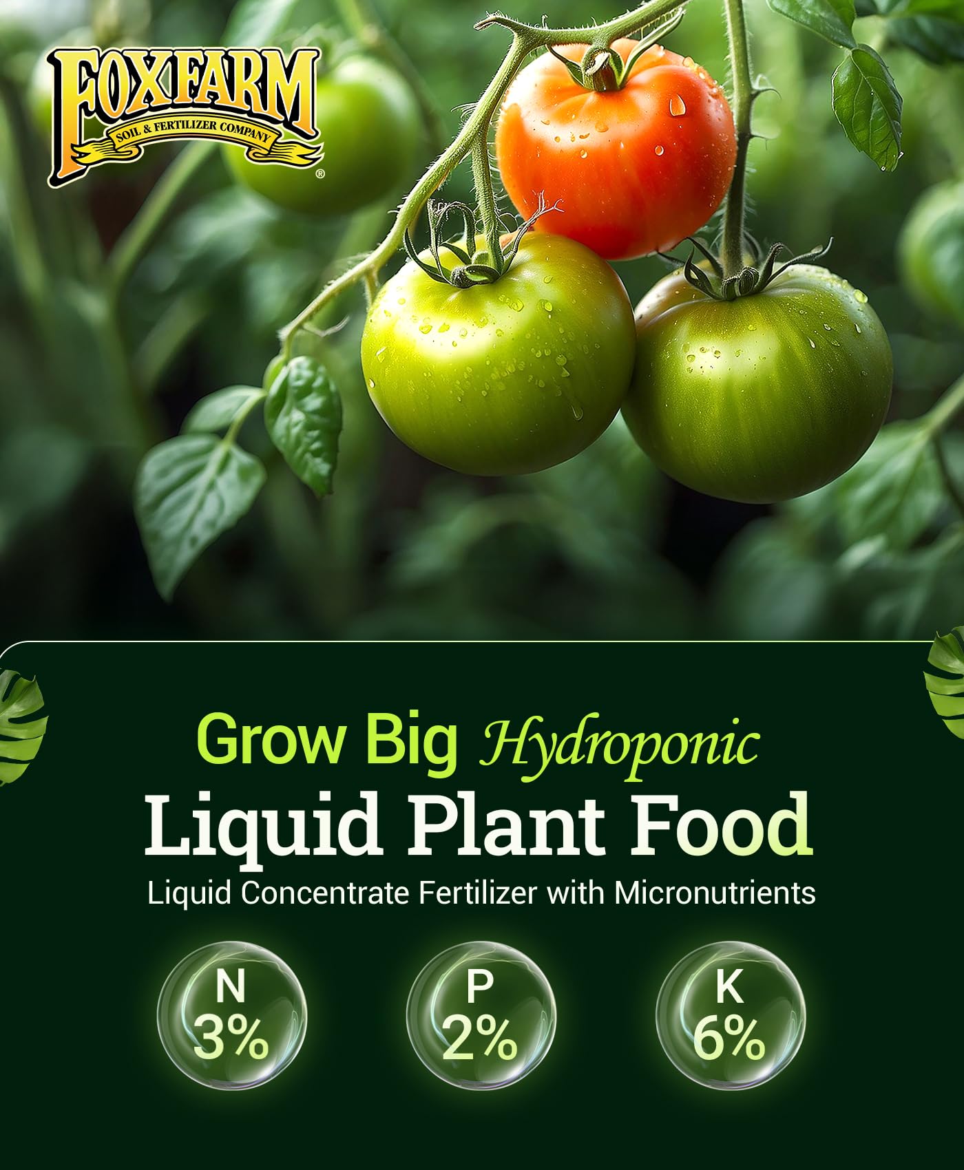 FoxFarm Grow Big Hydroponic Plant Food 1 Quart back view