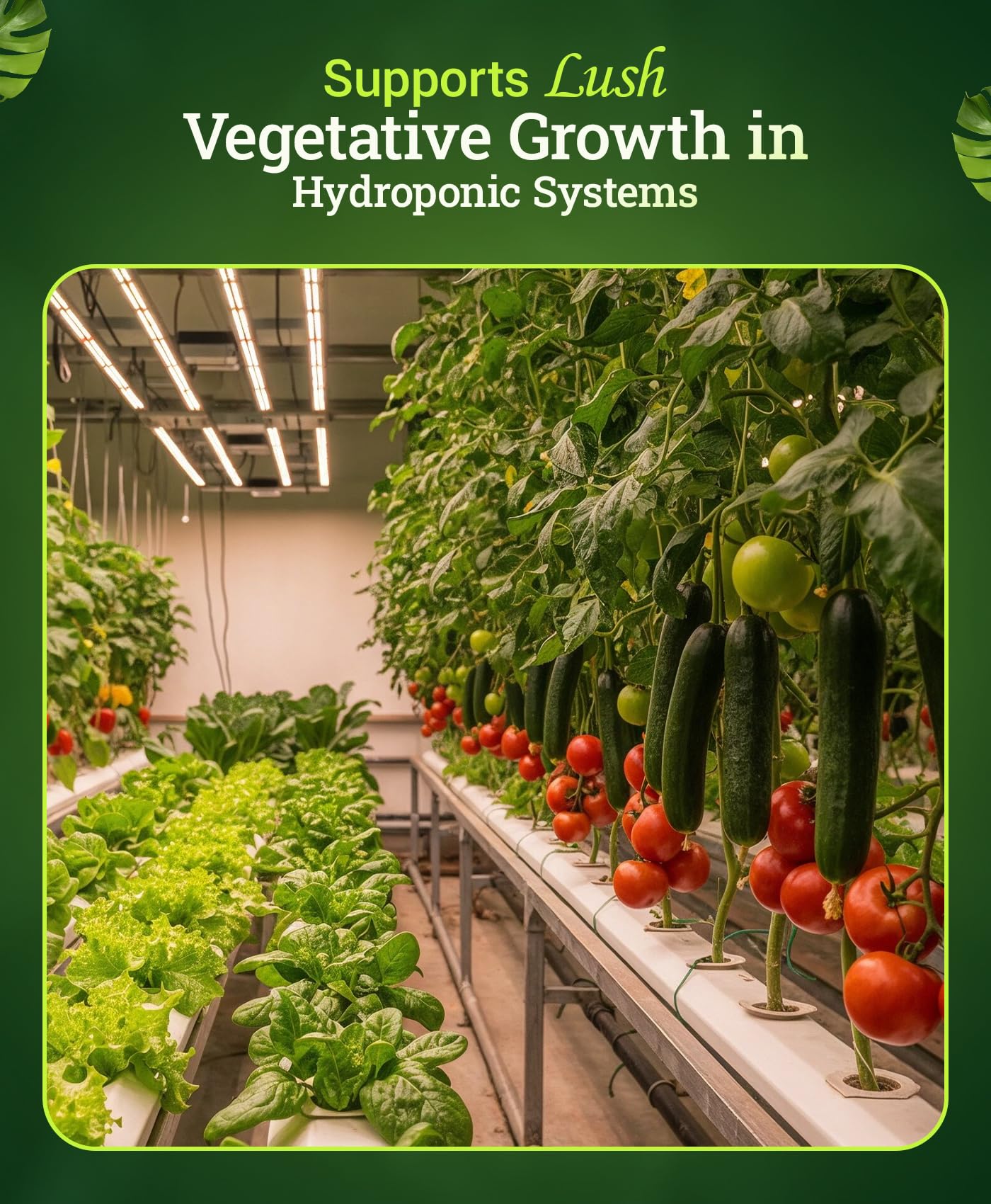 FoxFarm Grow Big Hydroponic Plant Food liquid in measuring spoon