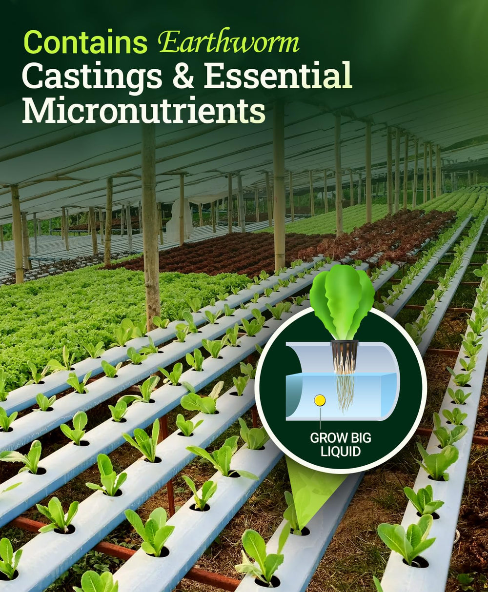 FoxFarm Grow Big Hydroponic Plant Food with plants in hydroponic setup