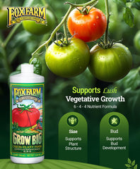 FoxFarm Grow Big Liquid Plant Food back view with instructions