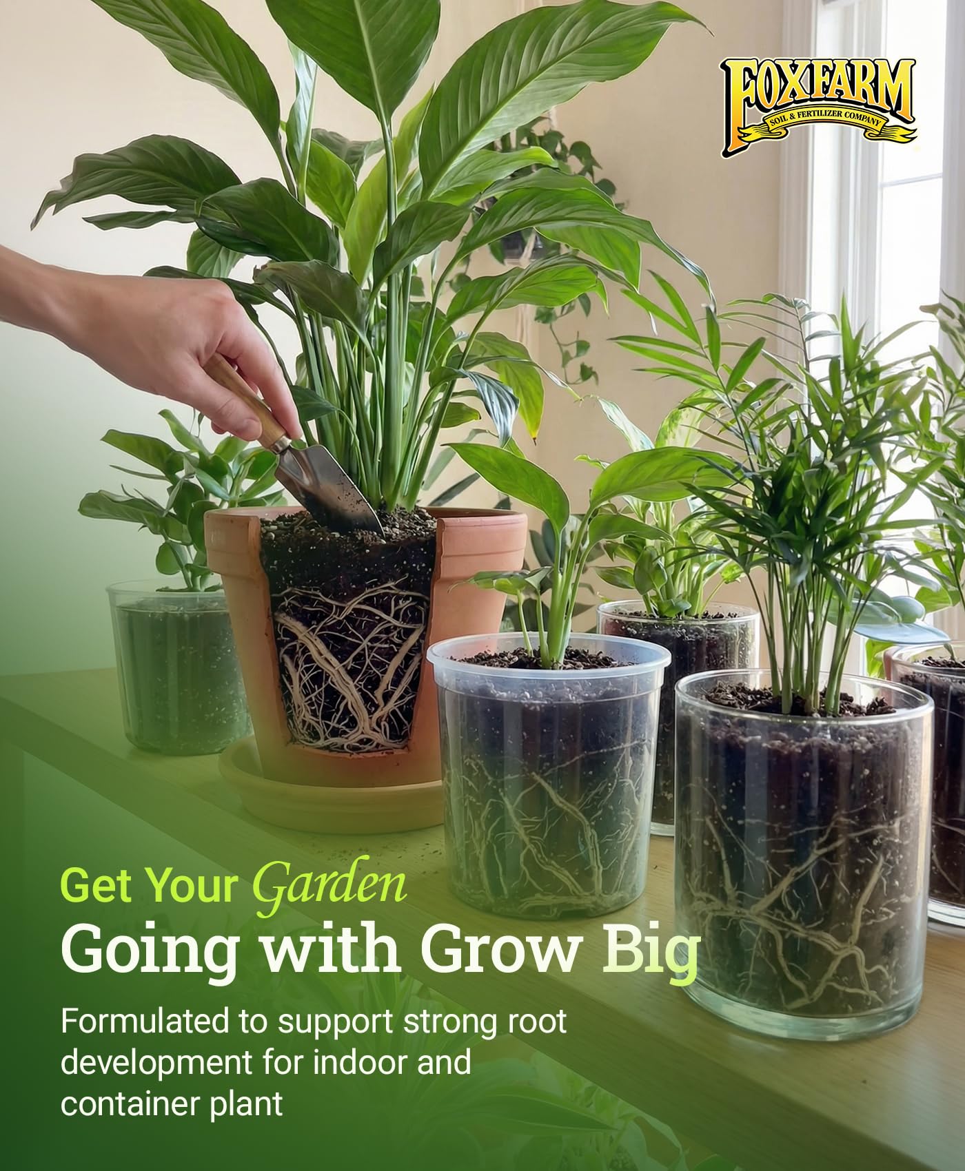 FoxFarm Grow Big Liquid Plant Food used in garden setting