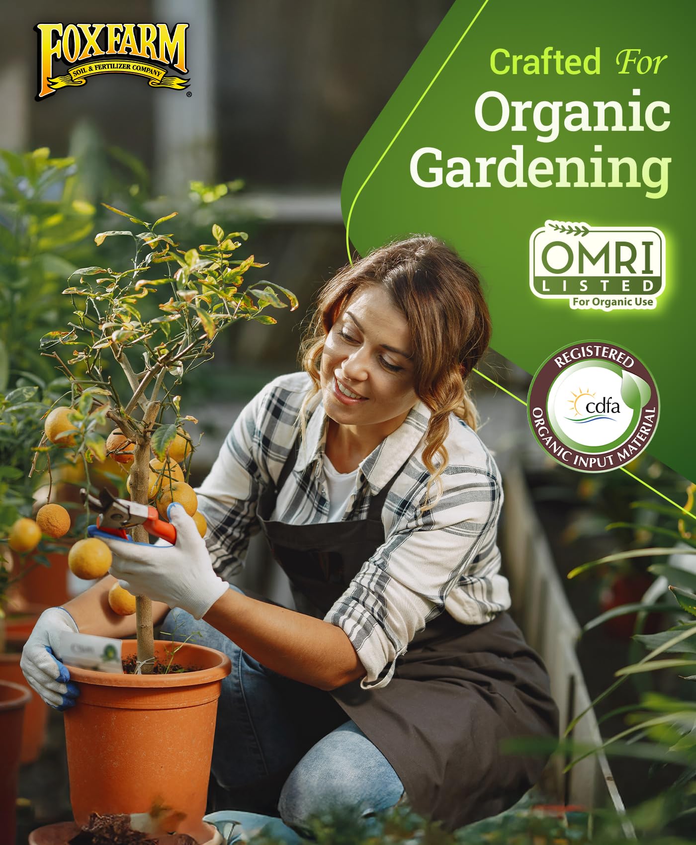FoxFarm Happy Frog Tomato & Vegetable Fertilizer application instructions