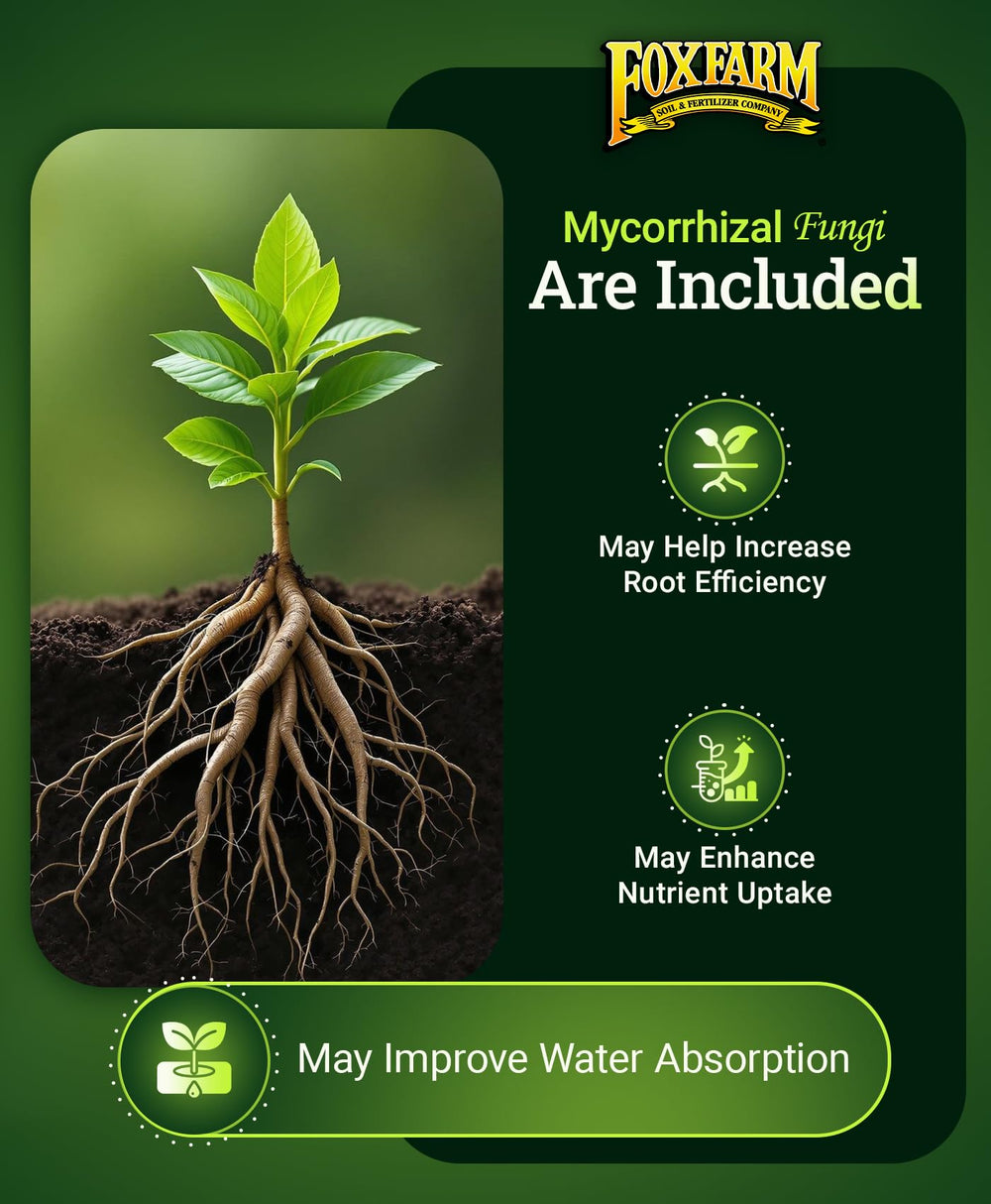 FoxFarm Happy Frog Tomato & Vegetable Fertilizer in garden setting