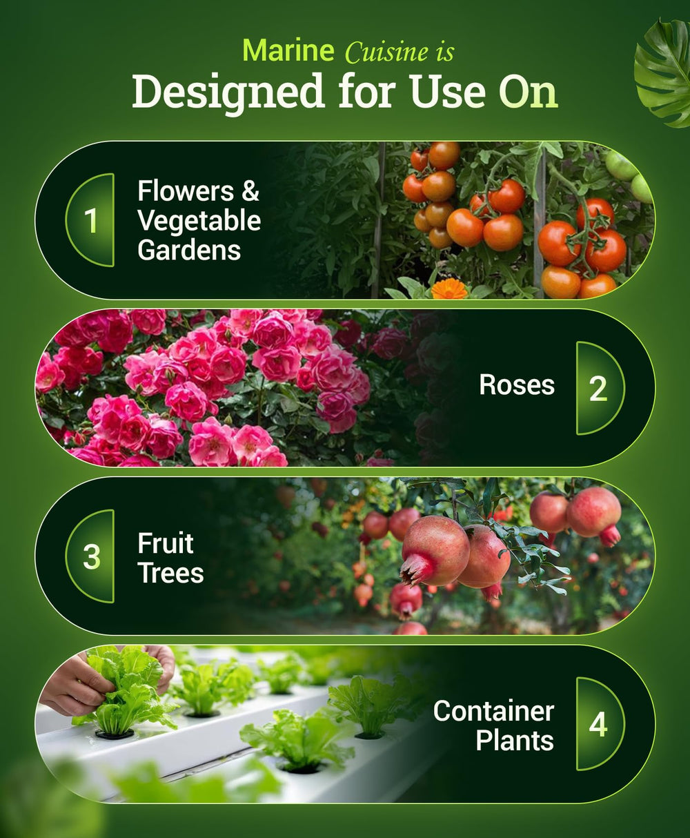 FoxFarm Marine Cuisine Fertilizer application on plants