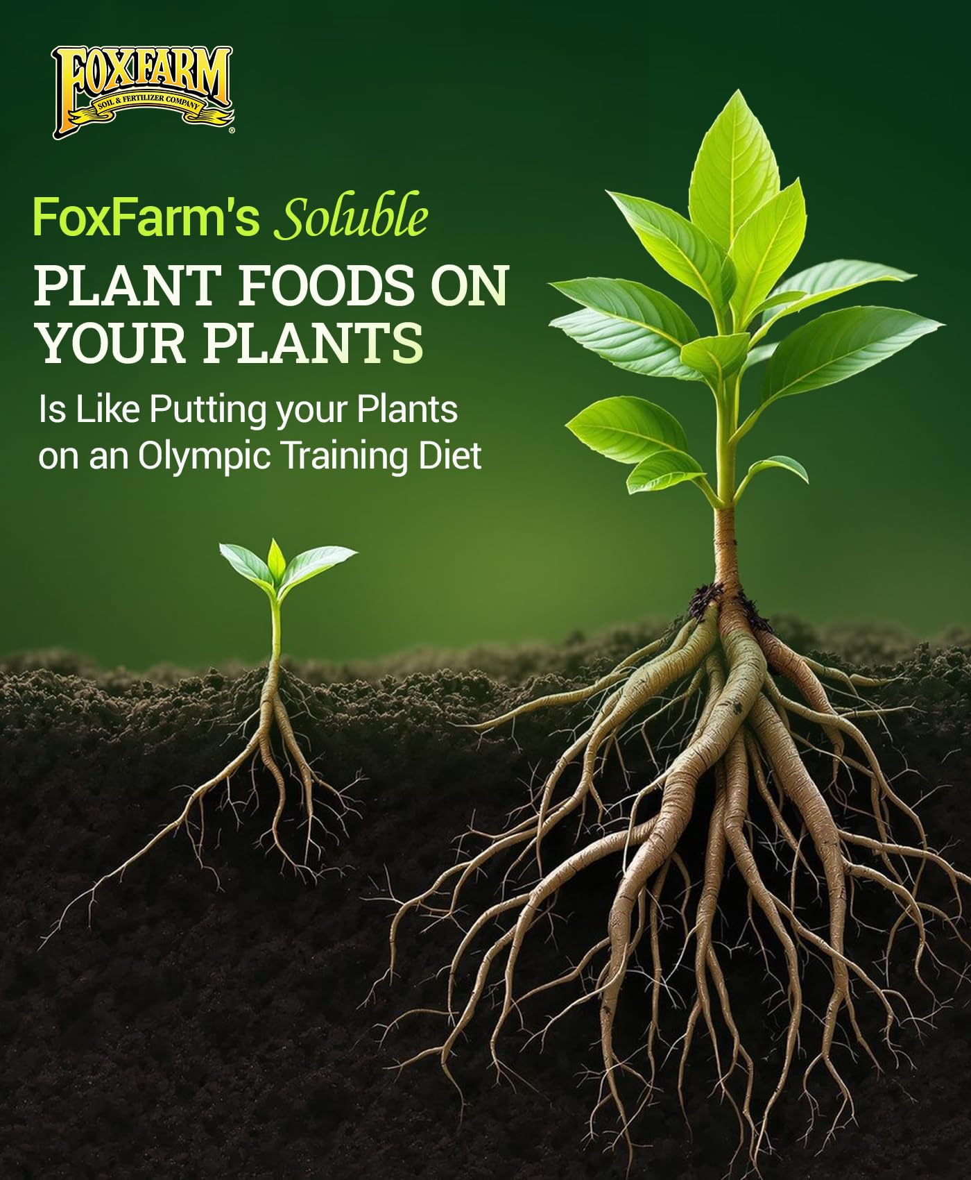 FoxFarm Soluble Trio Pack side view with packaging details