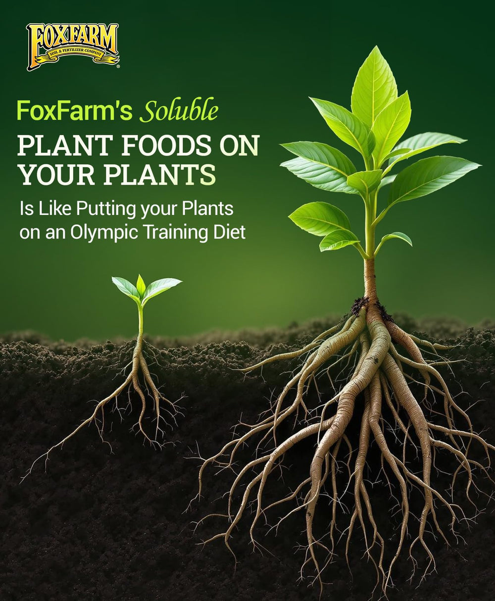 FoxFarm Soluble Trio Pack side view with packaging details