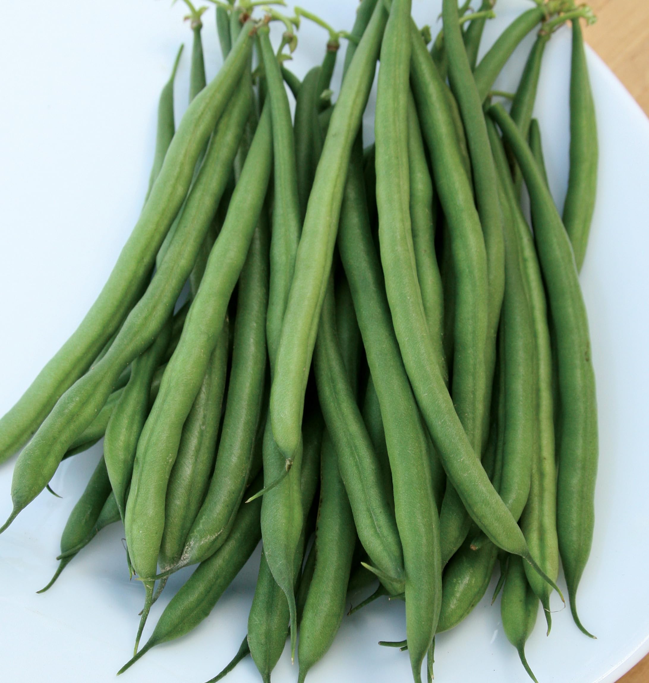 French Filet Bush Beans growing in garden bed