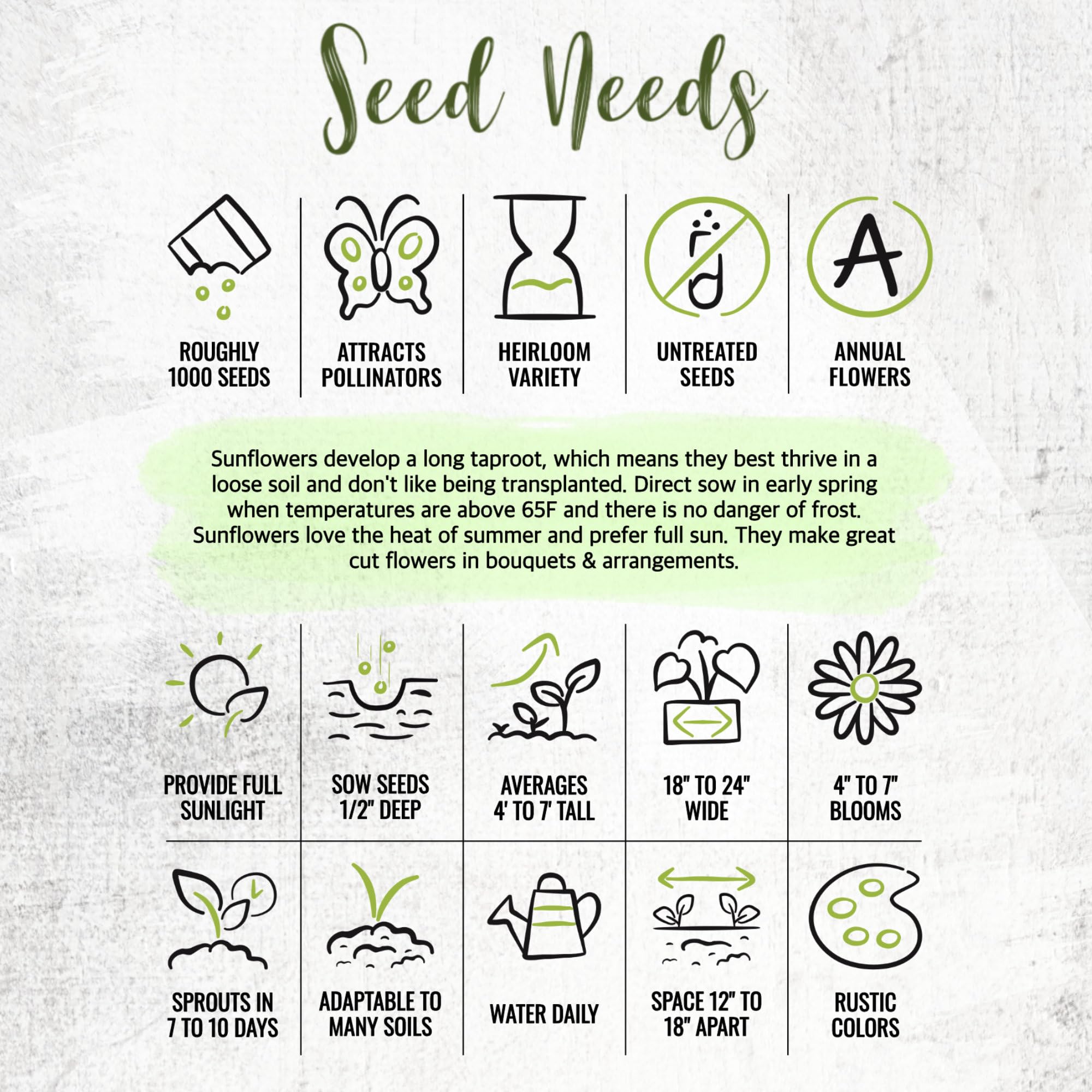 Fresh sunflower seeds in tear-resistant packaging