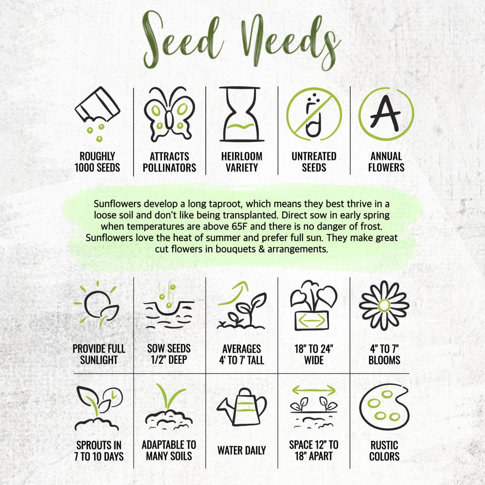 Fresh sunflower seeds in tear-resistant packaging