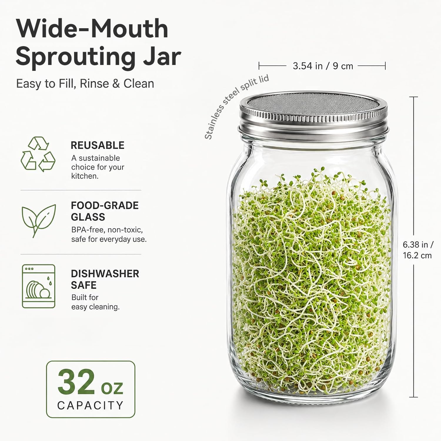 Freshly grown broccoli sprouts in SBMKK jars