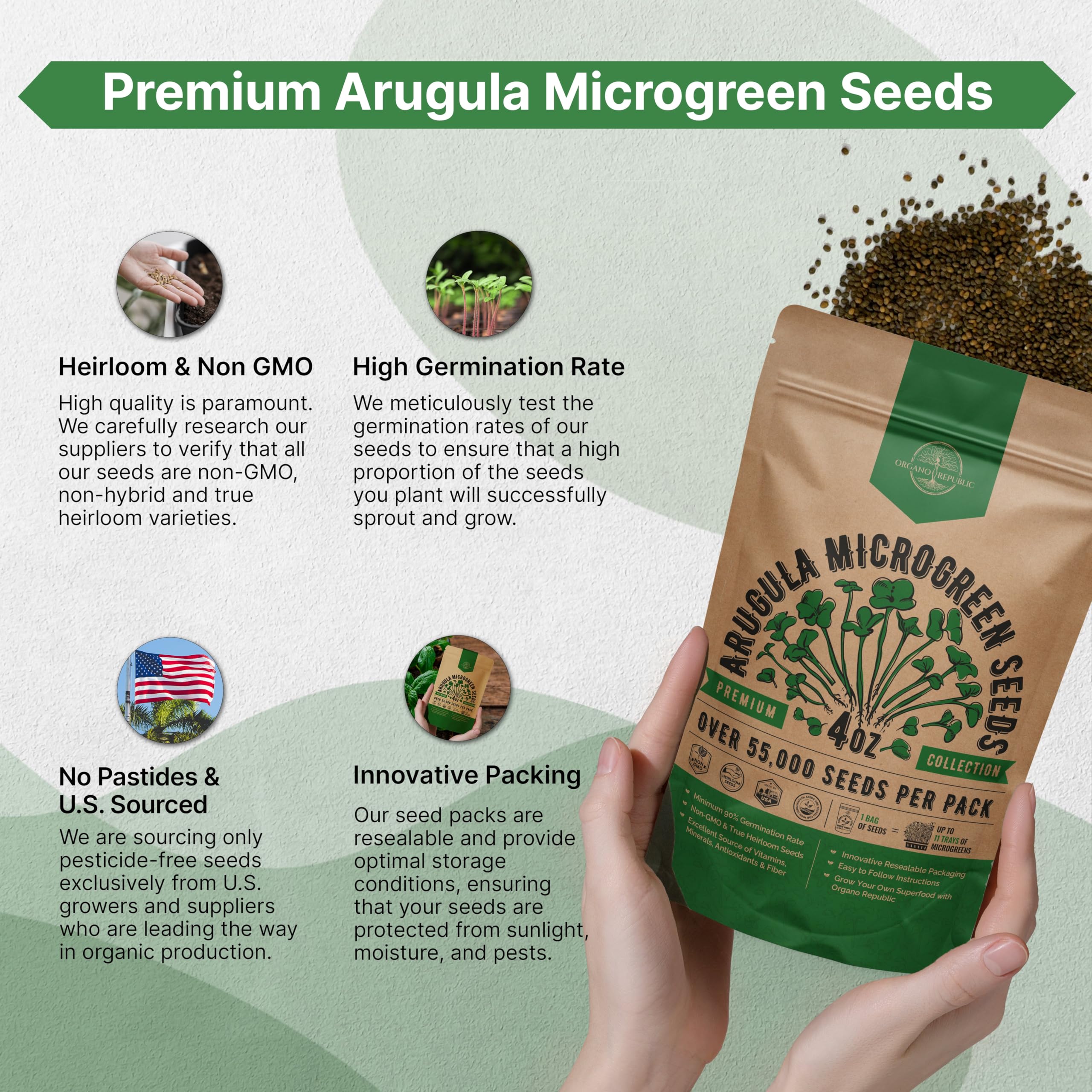 Freshly harvested arugula microgreens in a salad