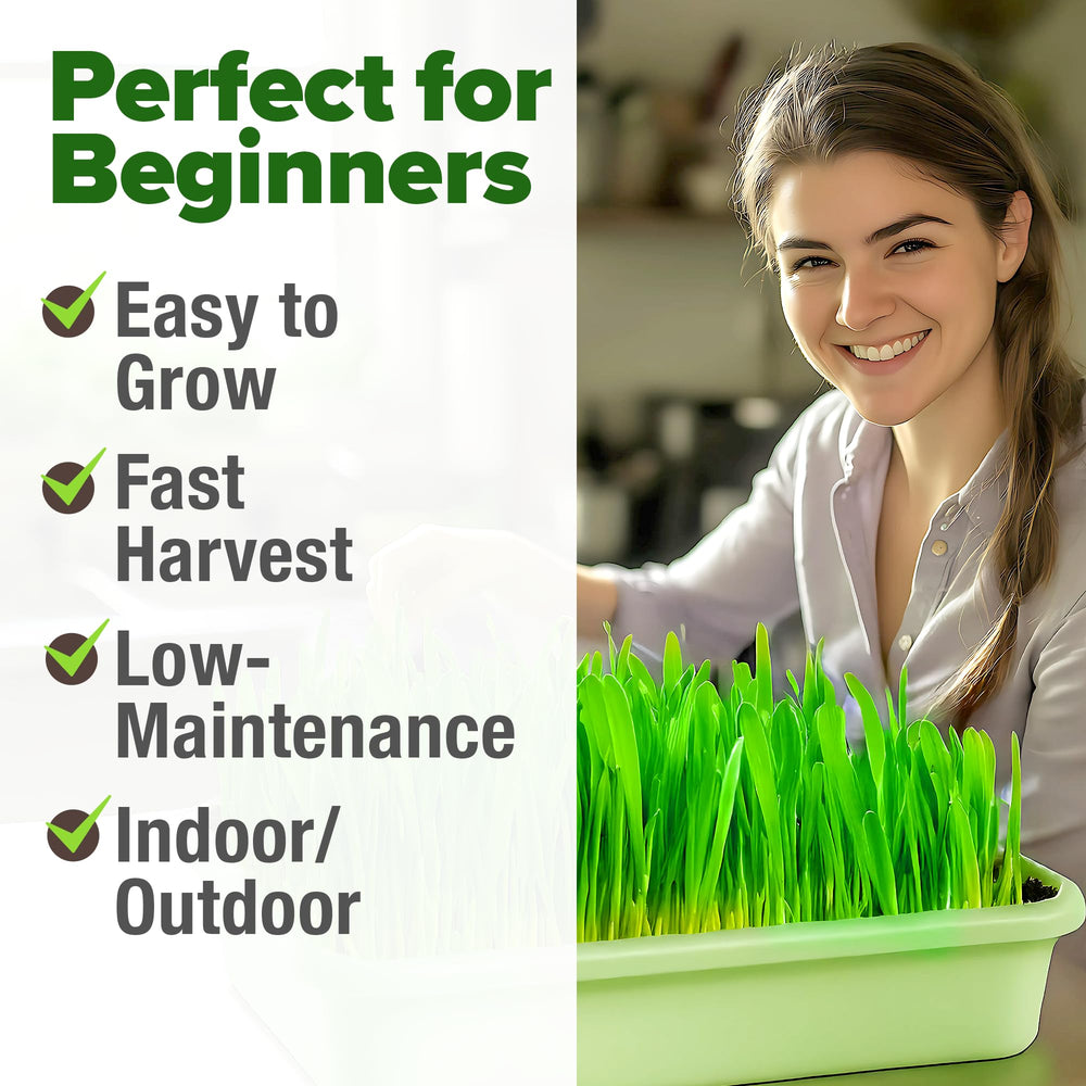 Freshly harvested wheatgrass on a cutting board