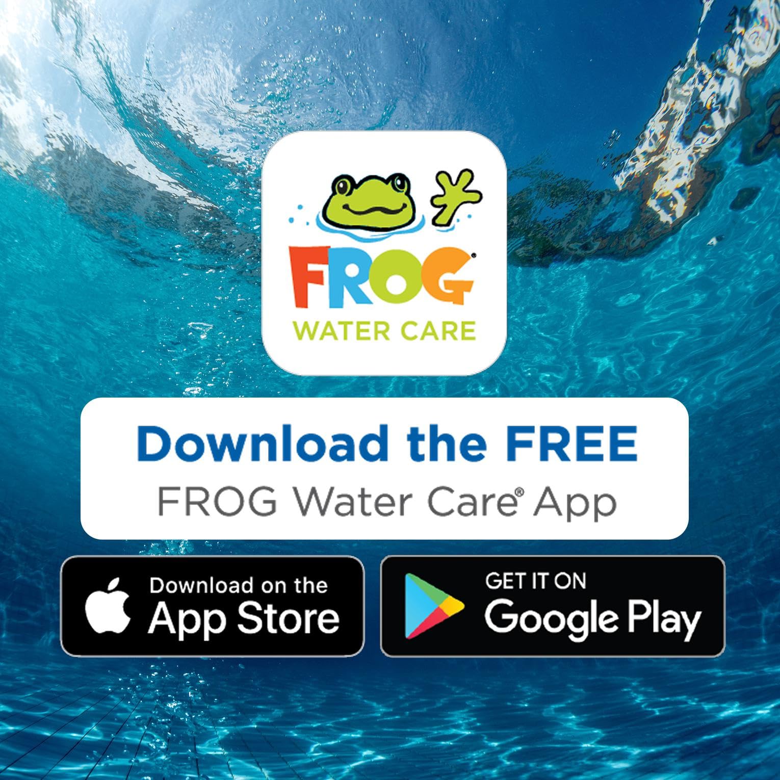 FROG BAM 90-Day Algae Preventative ingredient information