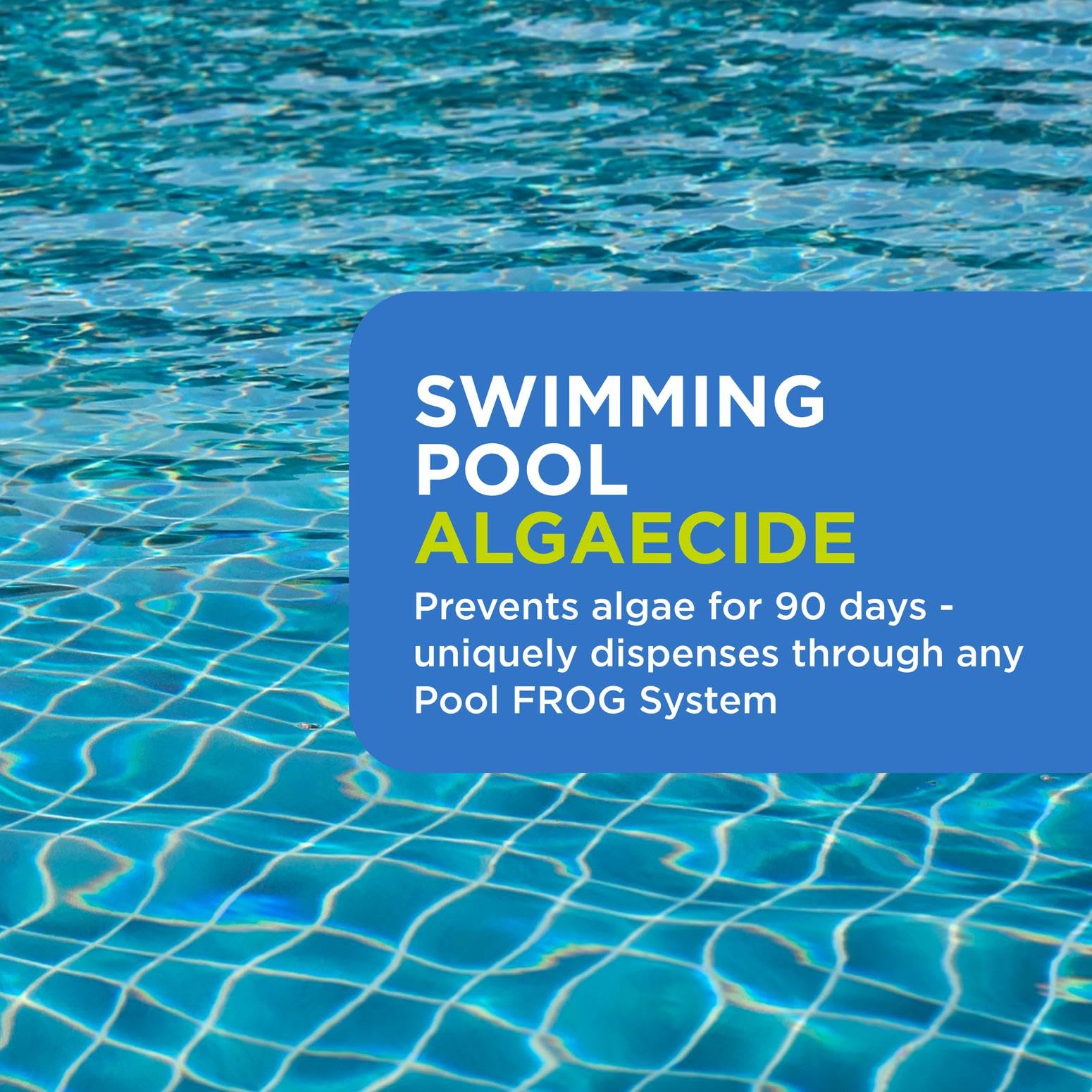 FROG BAM 90-Day Algae Preventative with Pool FROG Cycler