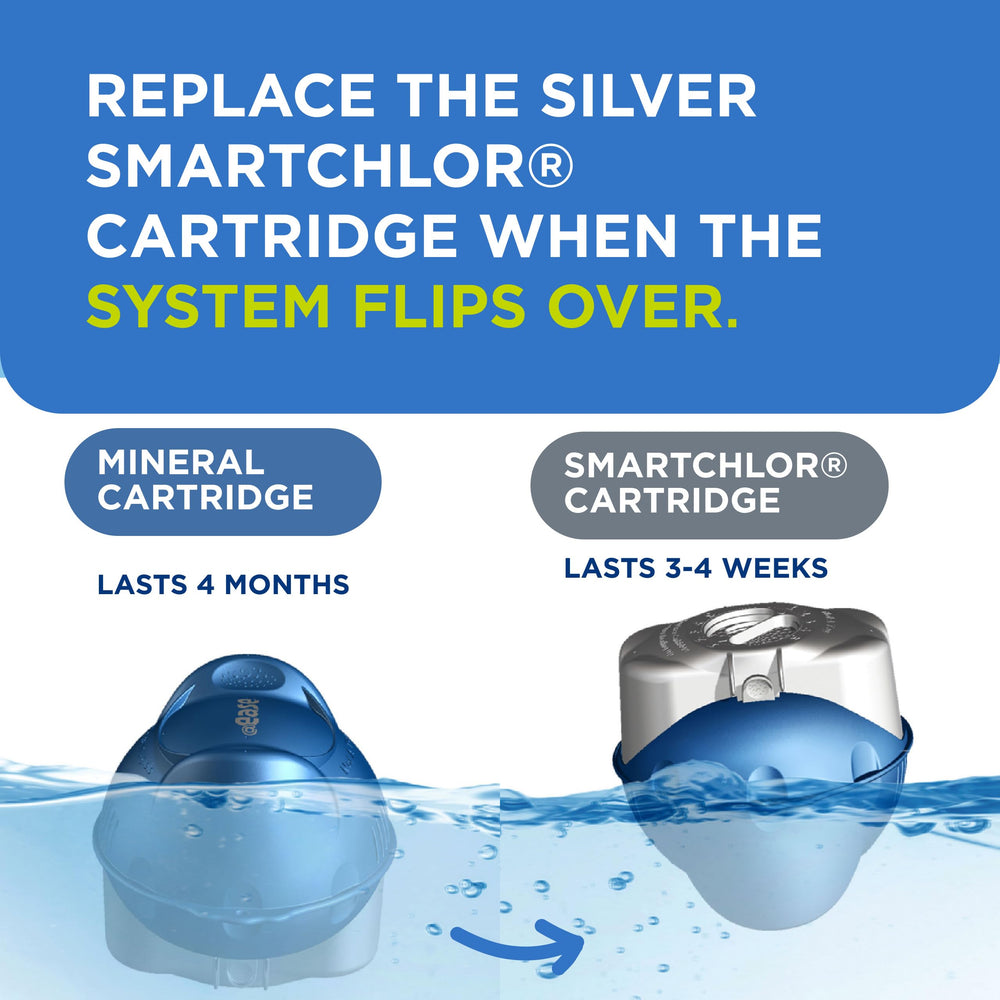 FROG @ease Floating Sanitizing System with cartridge