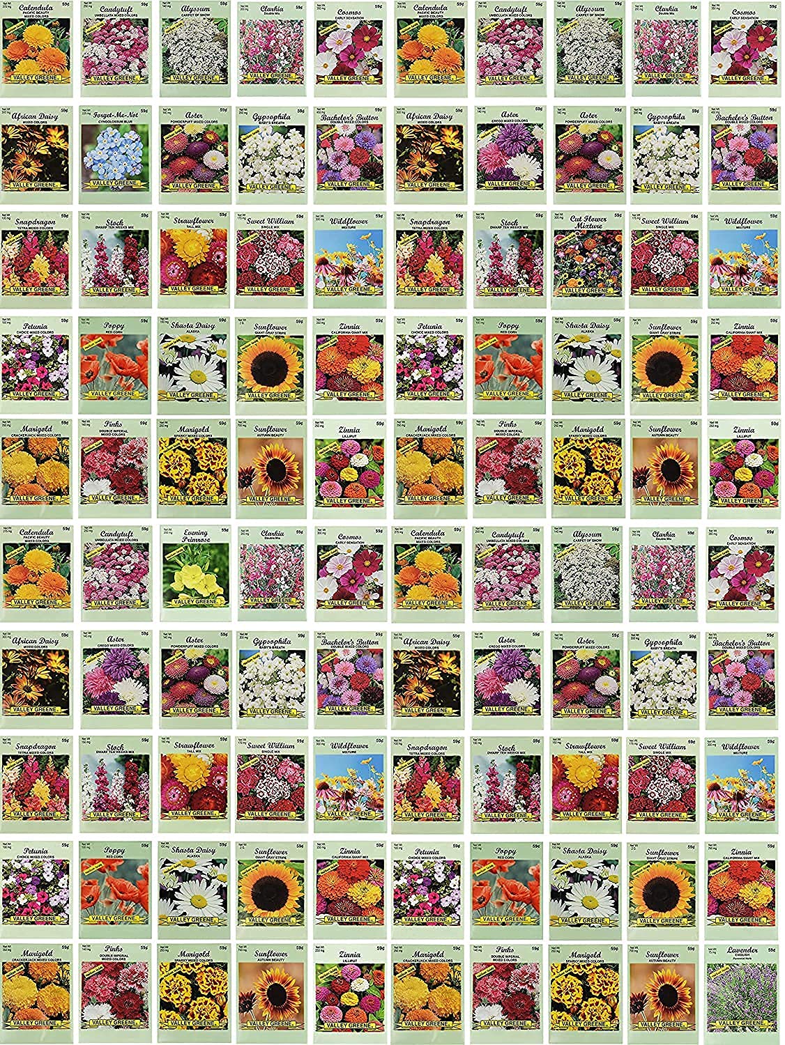 Front view of Black Duck Brand flower seed packets set of 100