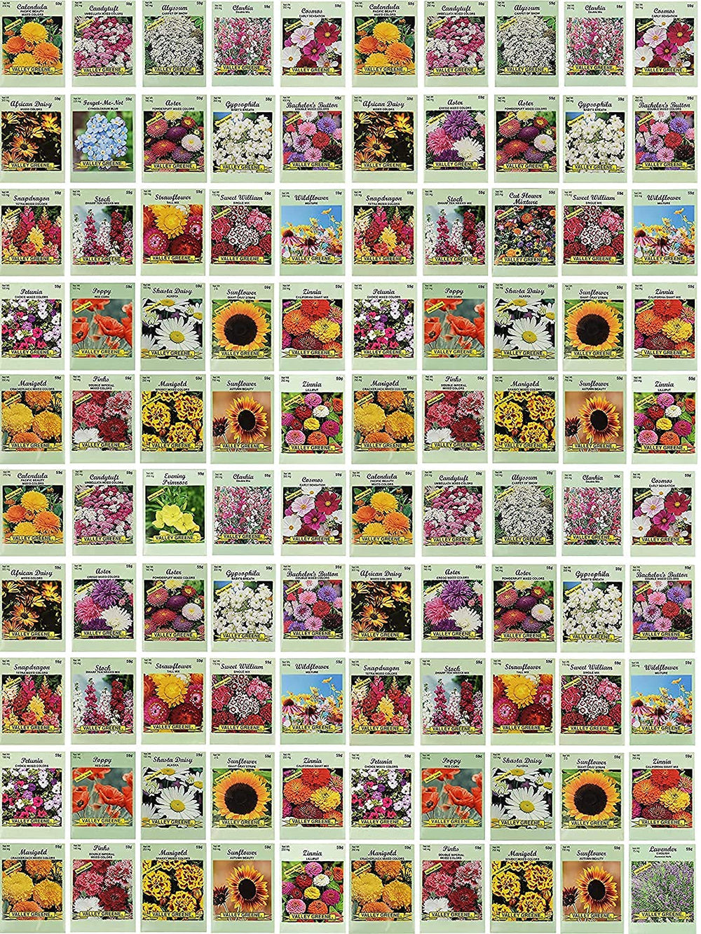 Front view of Black Duck Brand flower seed packets set of 100