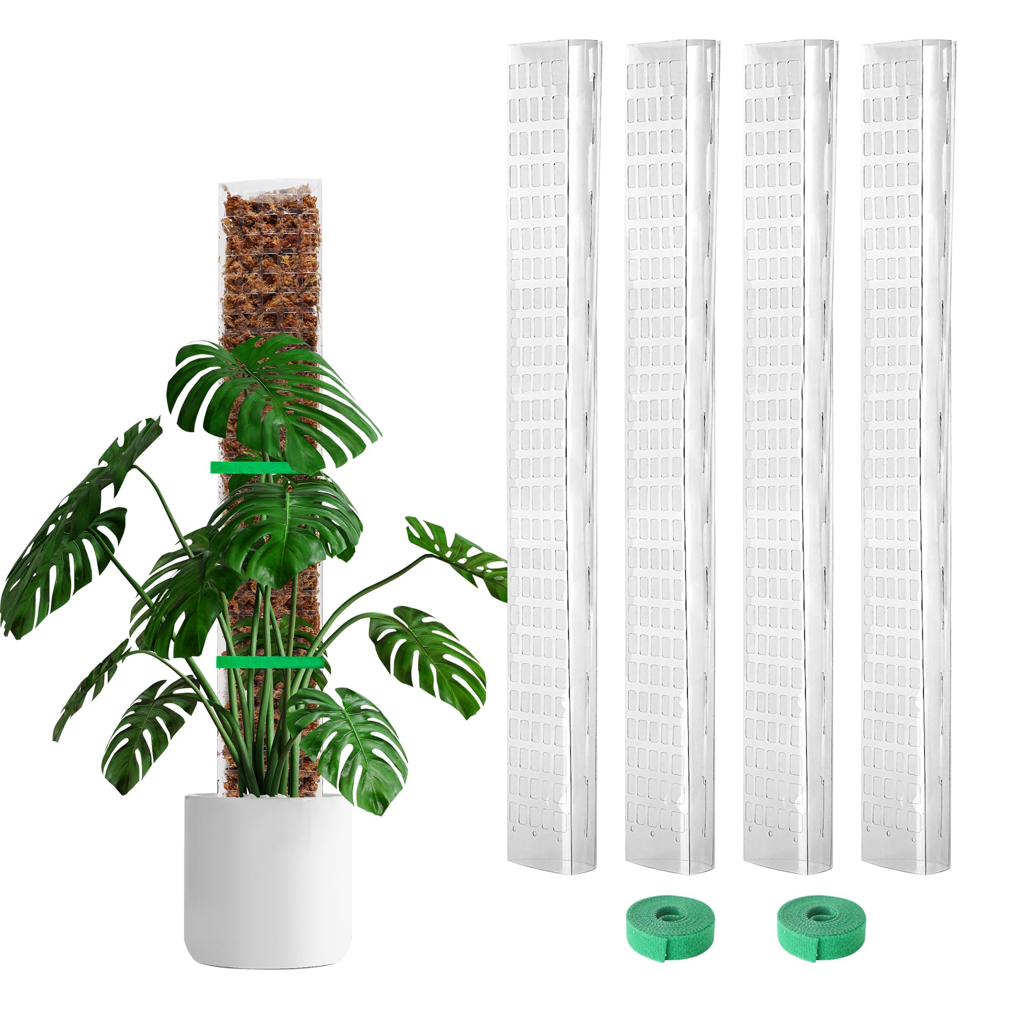 Front view of Bluepro Plastic Moss Pole, 24-inch size