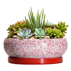 Front view of EPFamily 8 Inch red ceramic succulent pot with drainage hole