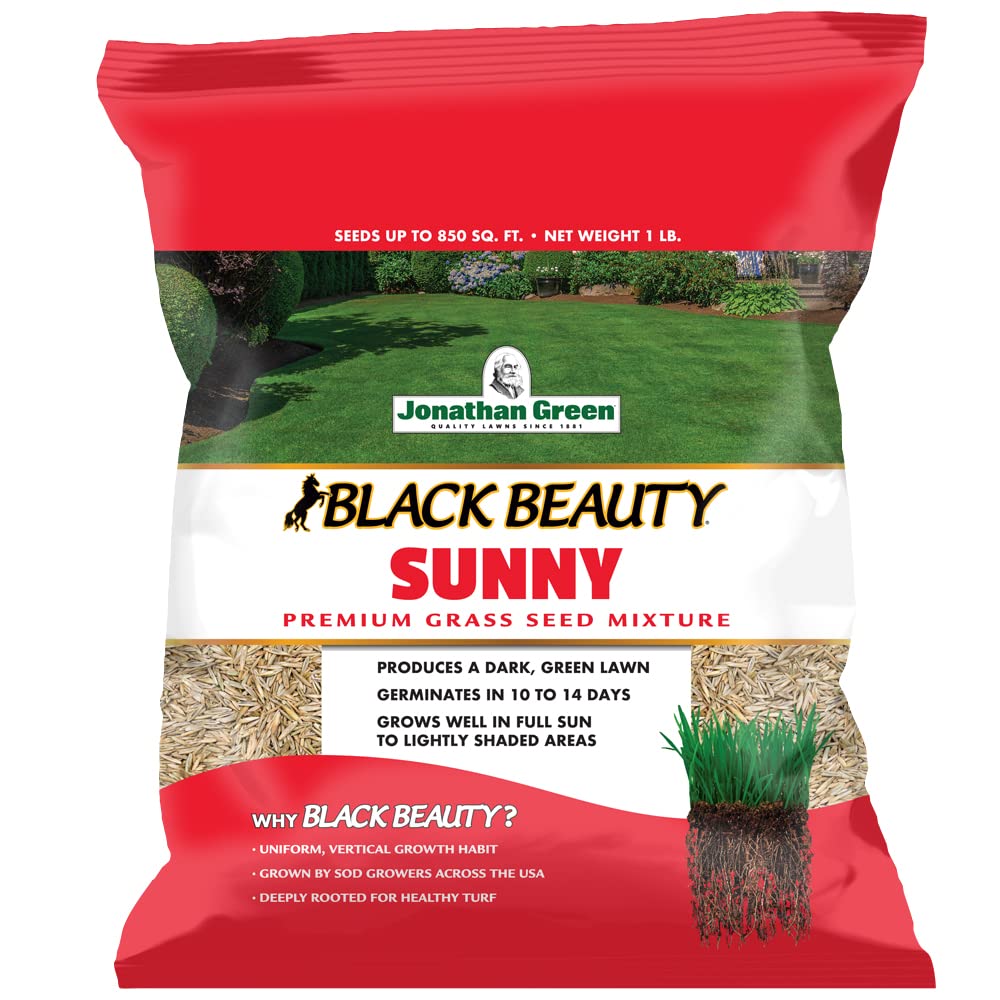 Front view of Jonathan Green Black Beauty Sunny Grass Seed 1 lb bag