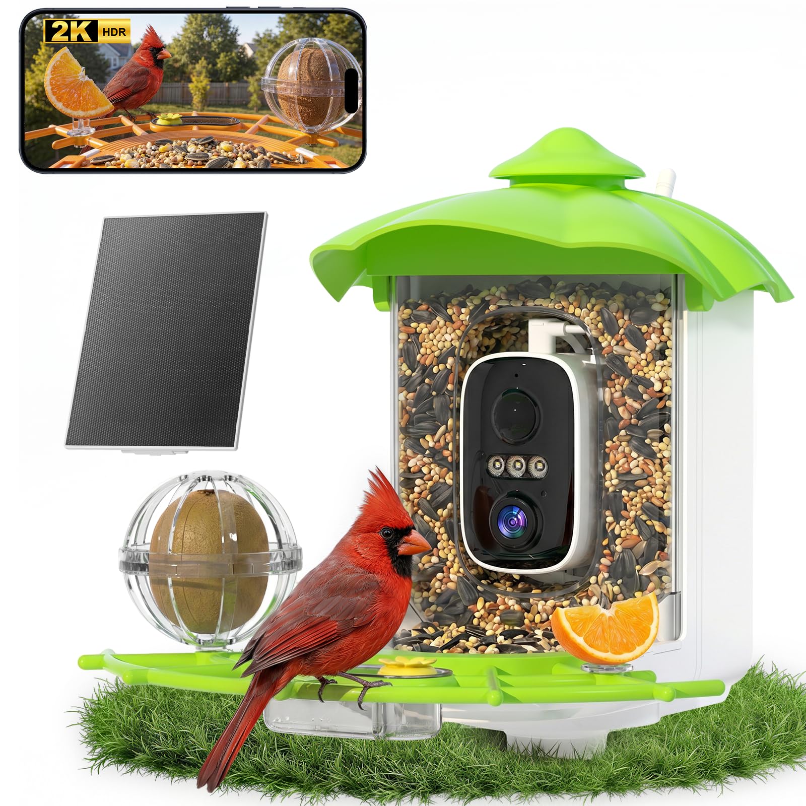 Front view of Kaixincz Bird Feeder with camera, green