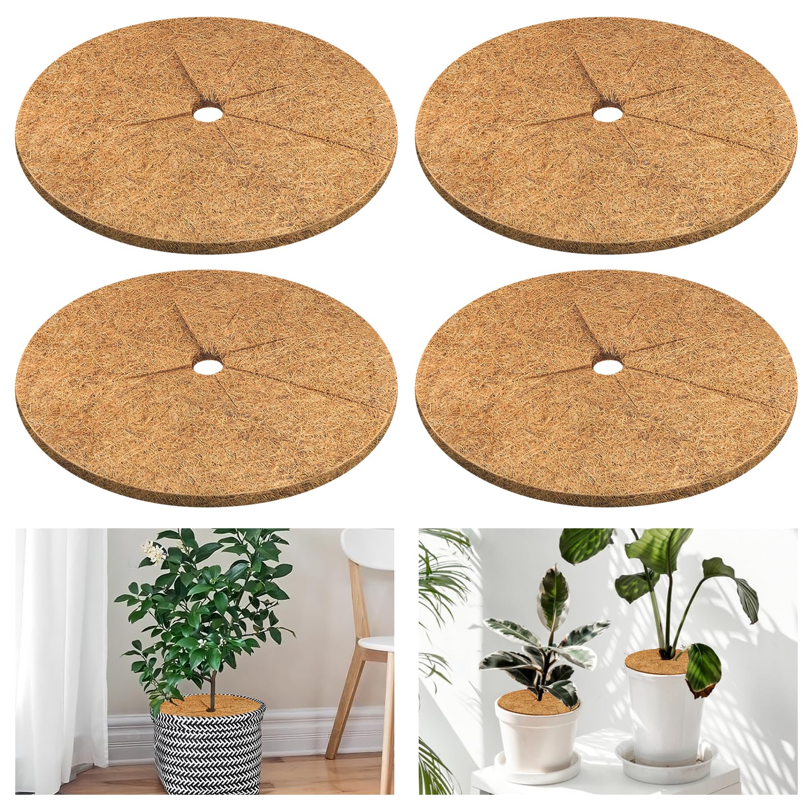 Front view of Legigo Coconut Fiber Mulch Ring 11.8 Inch