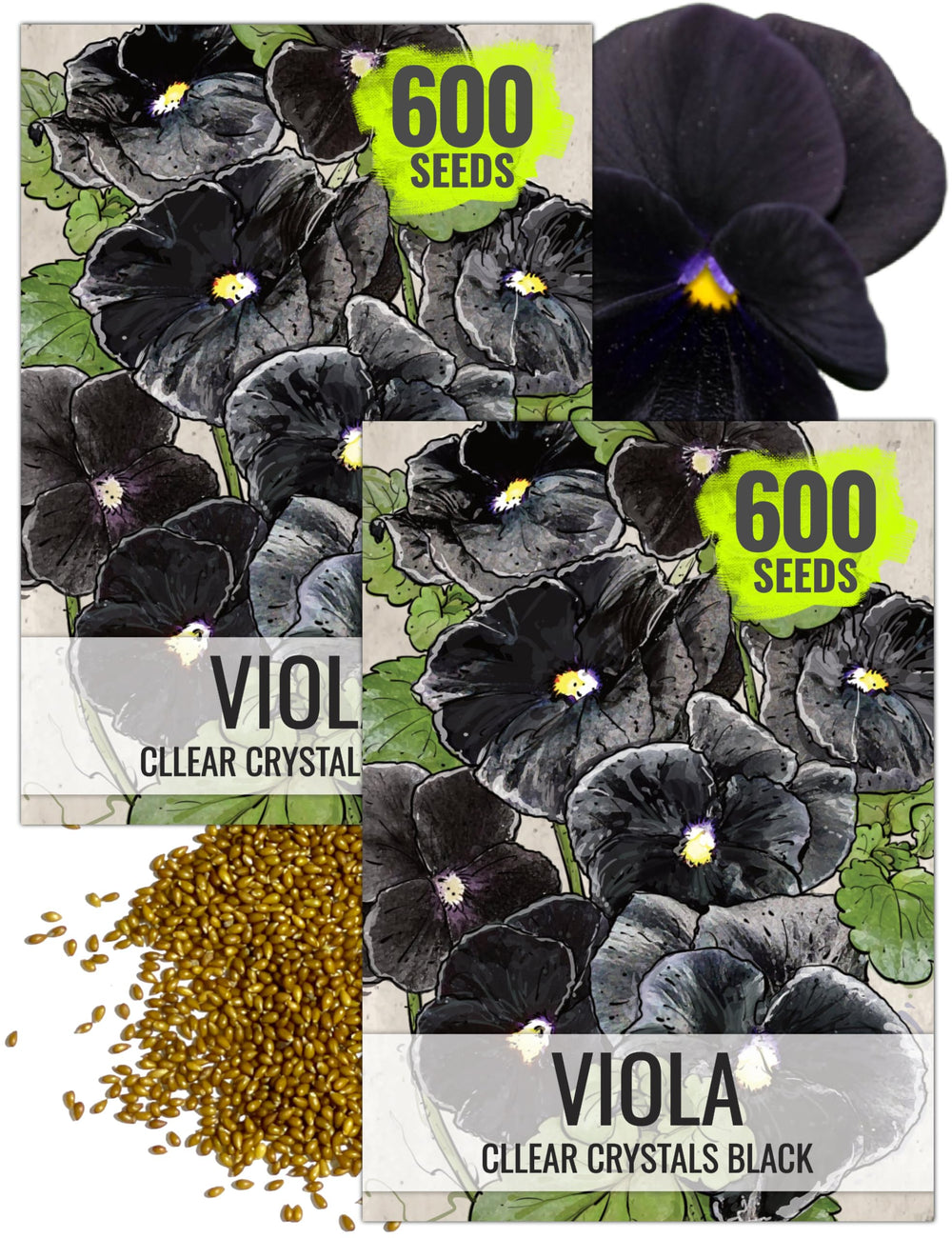 Front view of Seed Needs Black Pansy Seeds packet showing black flower illustration