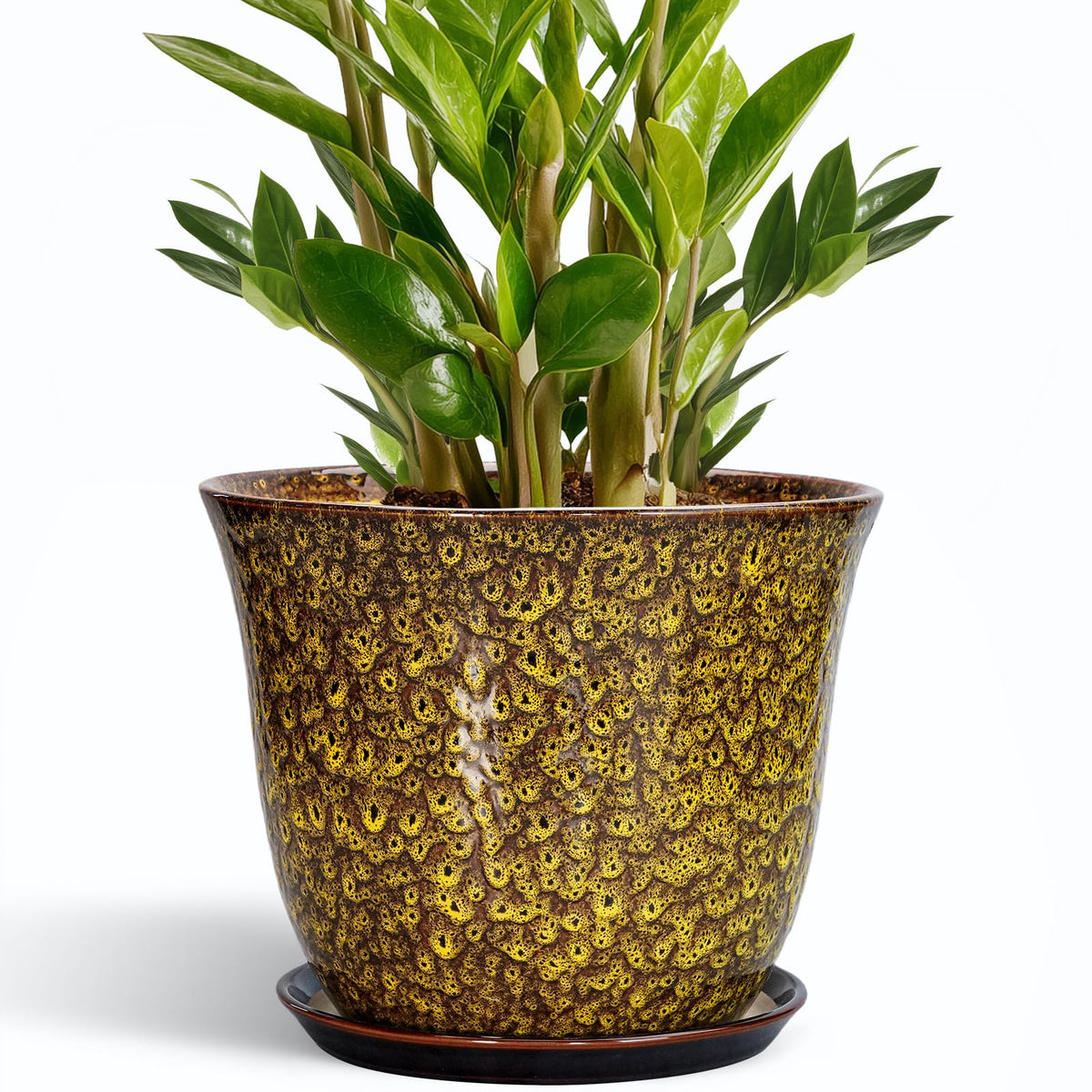 Front view of SUNPOTFOR 10 Inch Ceramic Plant Pot in Yellow