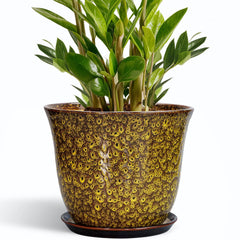 Front view of SUNPOTFOR 10 Inch Ceramic Plant Pot in Yellow
