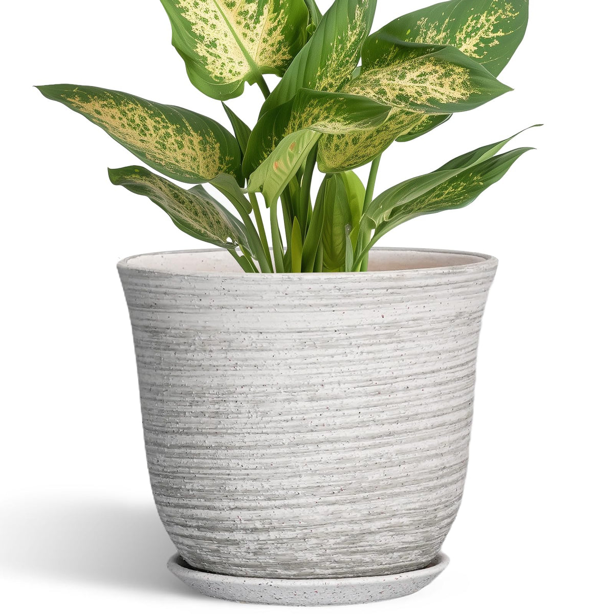 Front view of SUNPOTFOR 5.6 Inch Ceramic Plant Pot in Grey