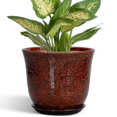 Front view of SUNPOTFOR 5.6 Inch Ceramic Plant Pot in Leopard Glaze Red