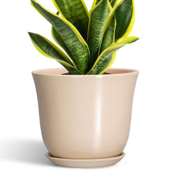 Front view of SUNPOTFOR 8 Inch Beige Ceramic Plant Pot