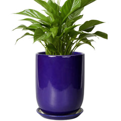 Front view of SUNPOTFOR 8 Inch Ceramic Plant Pot in Sapphire Blue