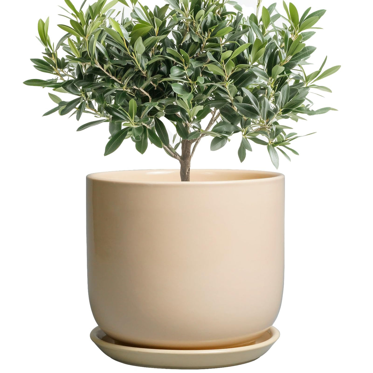 Front view of SUNPOTFOR 8 Inch Ceramic Planter in yellow