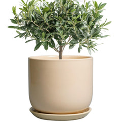 Front view of SUNPOTFOR 8 Inch Ceramic Planter in yellow