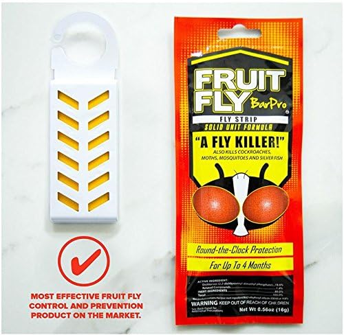 Fruit Fly BarPro strip placed near kitchen sink