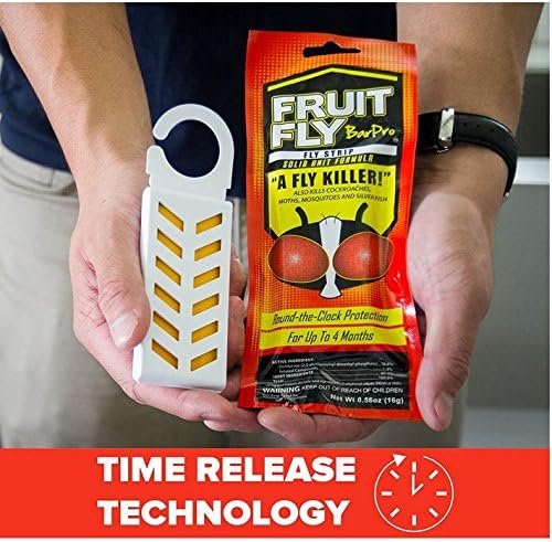 Fruit Fly BarPro strips in a large trash room