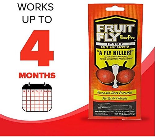 Fruit Fly BarPro strips in a laundry room
