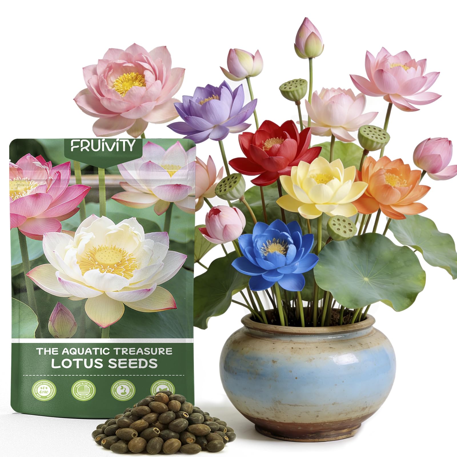 Fruivity bowl lotus seeds pack with 30 seeds