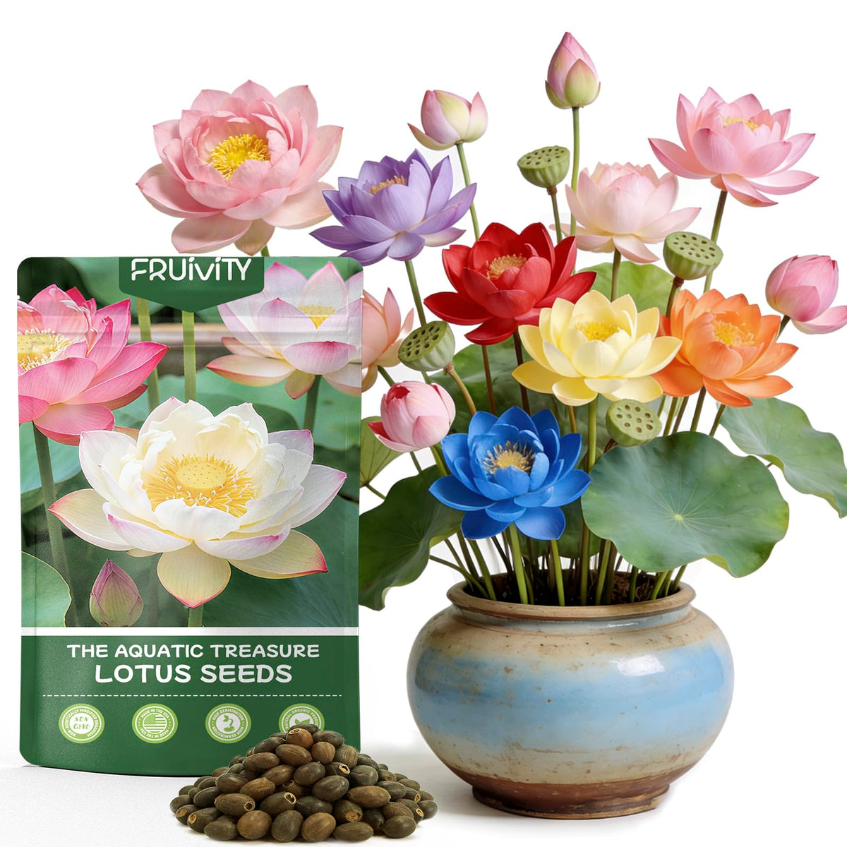 Fruivity bowl lotus seeds pack with 30 seeds