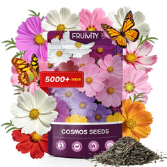 Fruivity Cosmos Seeds Wildflower Mixture front view with packaging details