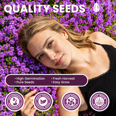Fruivity Creeping Thyme flowers in bloom