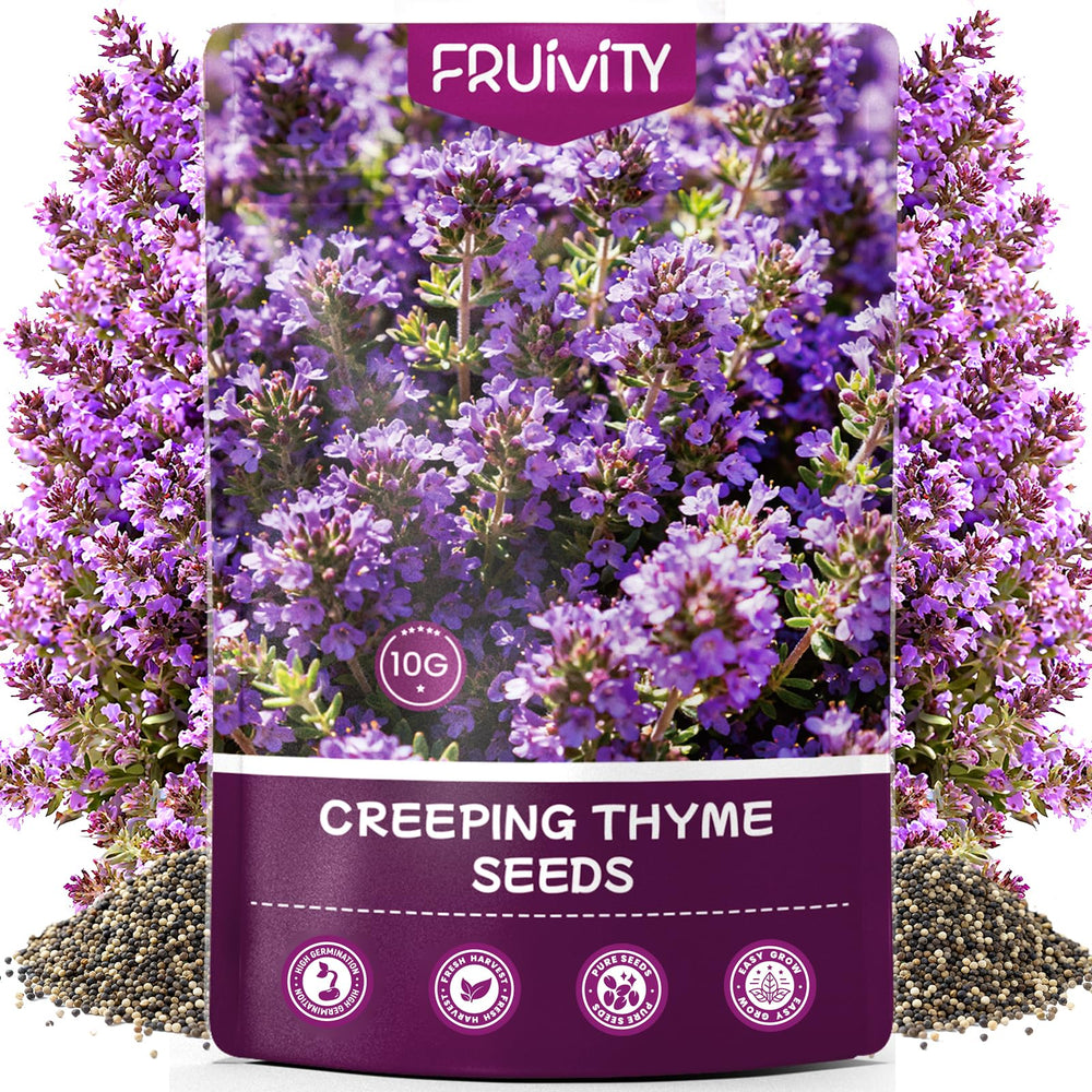 Fruivity Creeping Thyme Seeds package front view