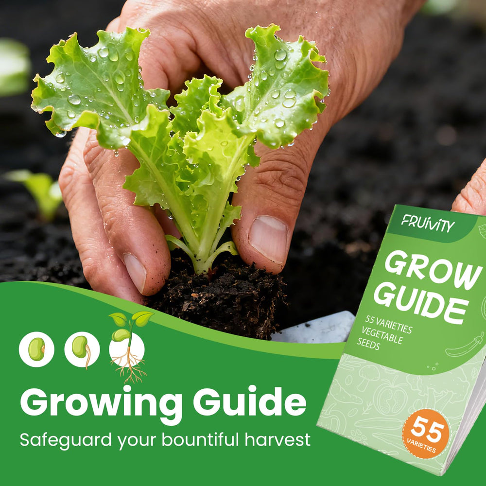 Fruivity seeds ready for planting in garden bed