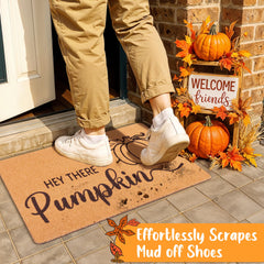 Fttoyoly Fall Doormat on a porch