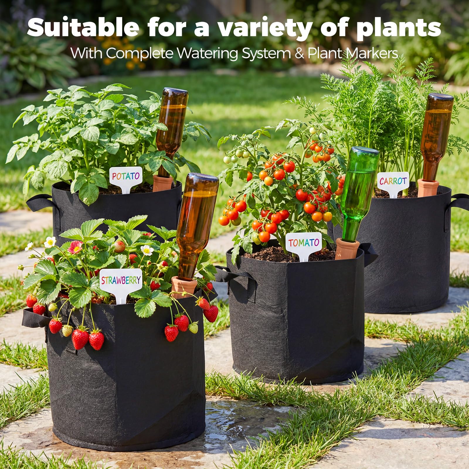 FuBegi plant labels included in the package