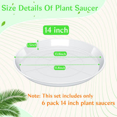 FUIJOL 14-inch clear plant saucer with potted plant