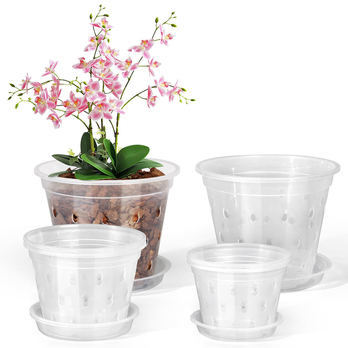 FUIJOL 4-inch clear orchid pot with saucer front view