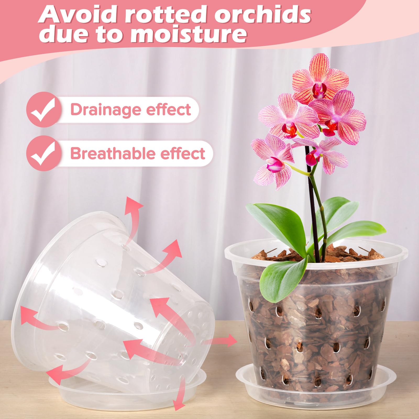 FUIJOL 6-inch clear orchid pot with drainage holes