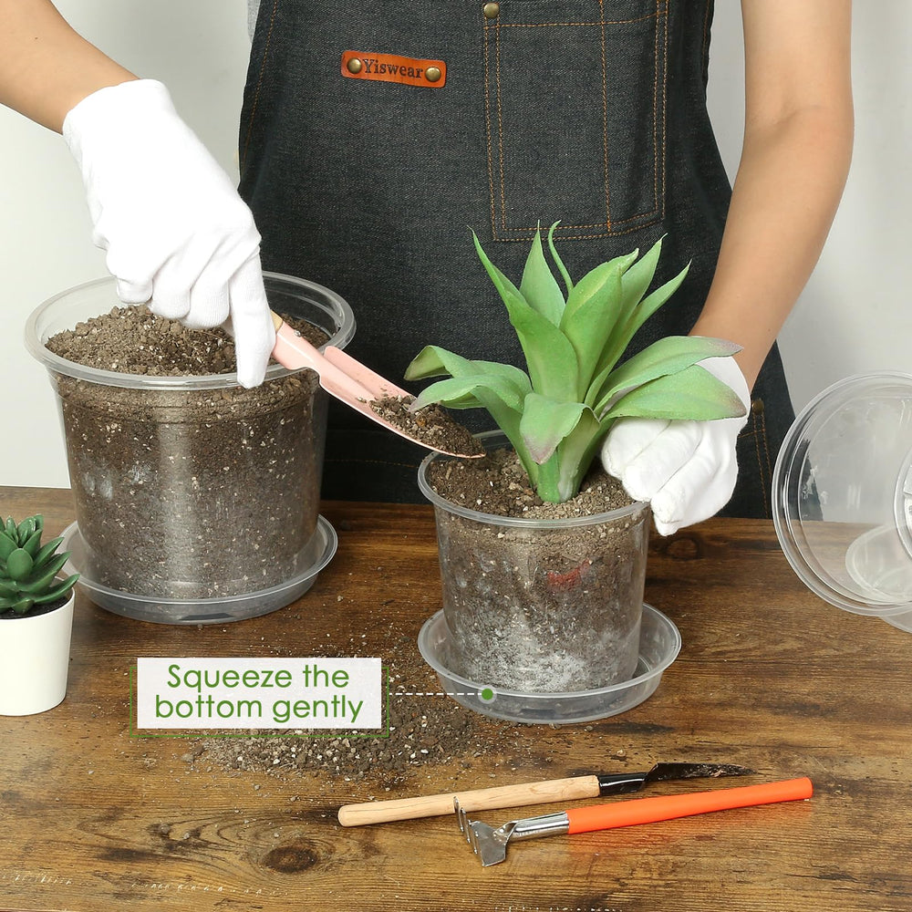 FUIJOL clear nursery pot with roots visible
